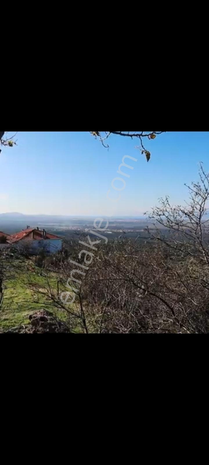 Burhaniye Dutluca Köyünde Full Deniz Manzaralı 669 M2 Arsa — fotoğraf 11