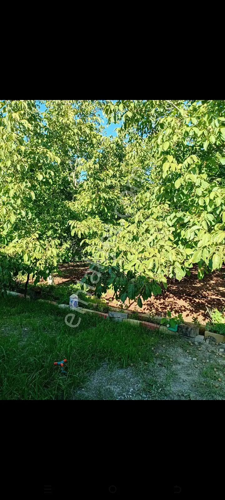 Çameli Emecik'Te Satılık 2170 M² Doğa Manzaralı Tarla