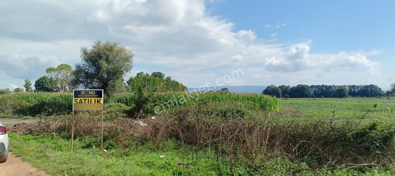 Adapazarı Hacılar Köyü'nde 8.300 M² Satılık Tarla (resmi Yollu) — fotoğraf 3