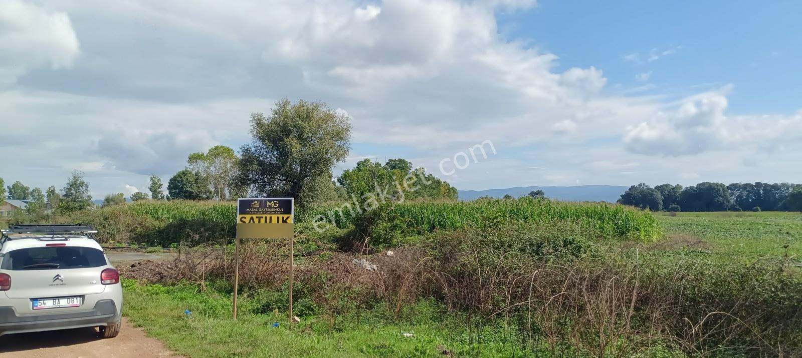 Adapazarı Hacılar Köyü'nde 8.300 M² Satılık Tarla (resmi Yollu) — fotoğraf 5