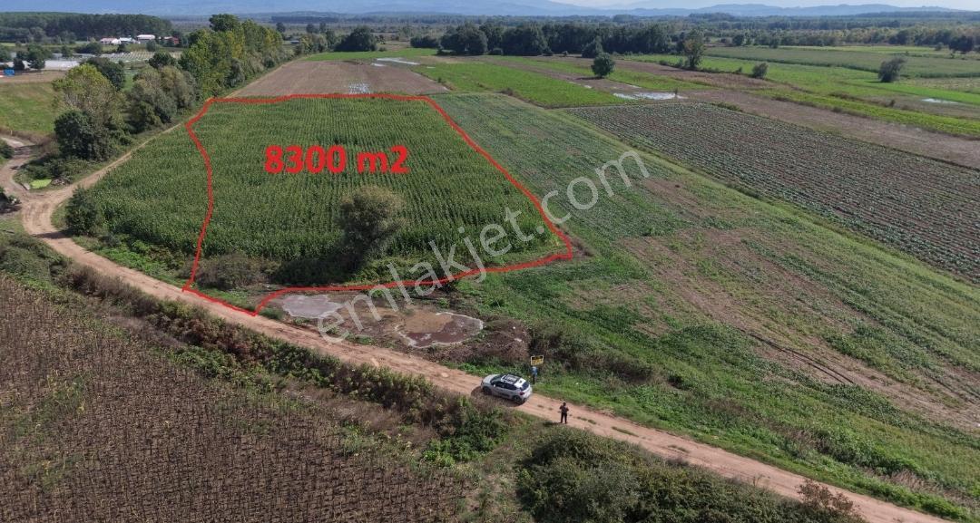 Adapazarı Hacılar Köyü'nde 8.300 M² Satılık Tarla (resmi Yollu) — fotoğraf 6