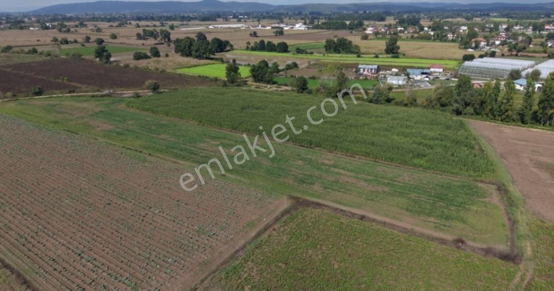 Adapazarı Hacılar Köyü'nde 8.300 M² Satılık Tarla (resmi Yollu) — fotoğraf 8
