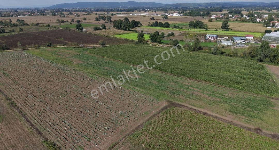 Adapazarı Hacılar Köyü'nde 8.300 M² Satılık Tarla (resmi Yollu) — fotoğraf 9
