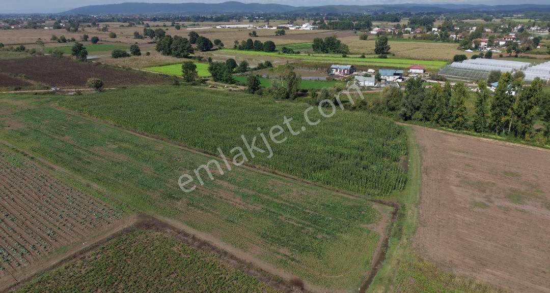 Adapazarı Hacılar Köyü'nde 8.300 M² Satılık Tarla (resmi Yollu) — fotoğraf 10