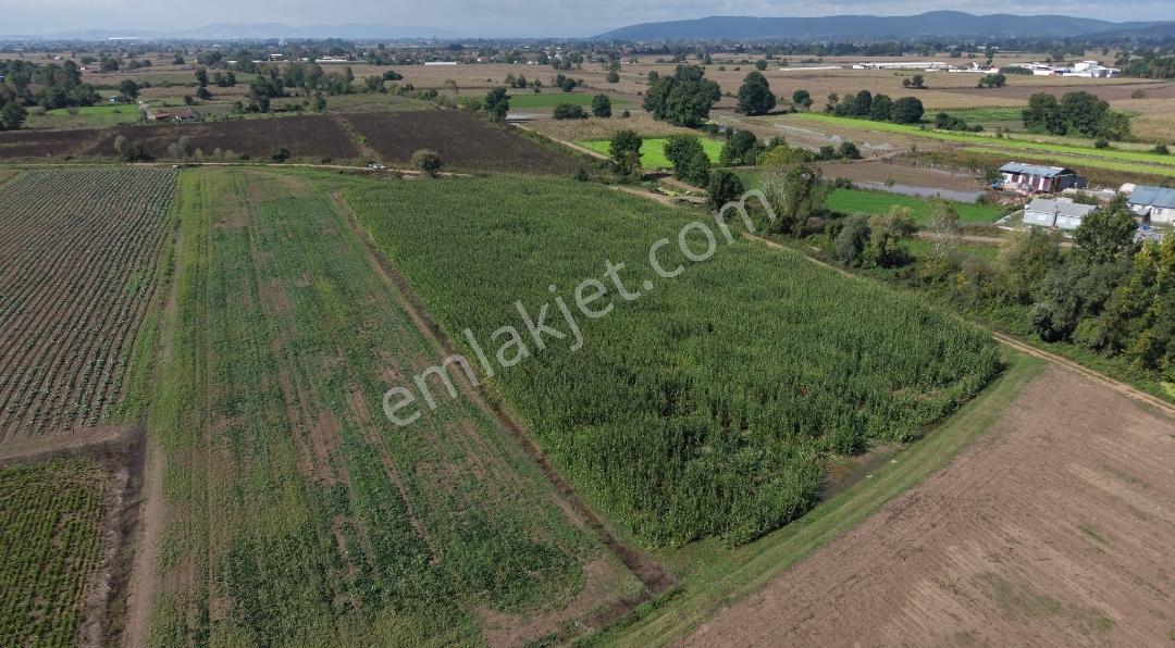 Adapazarı Hacılar Köyü'nde 8.300 M² Satılık Tarla (resmi Yollu) — fotoğraf 11