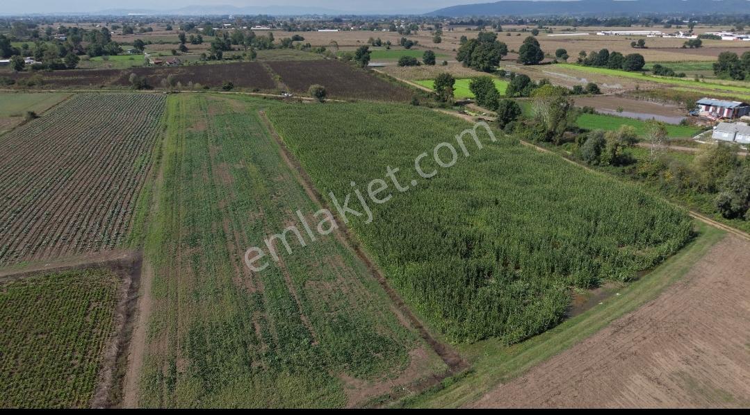 Adapazarı Hacılar Köyü'nde 8.300 M² Satılık Tarla (resmi Yollu) — fotoğraf 12