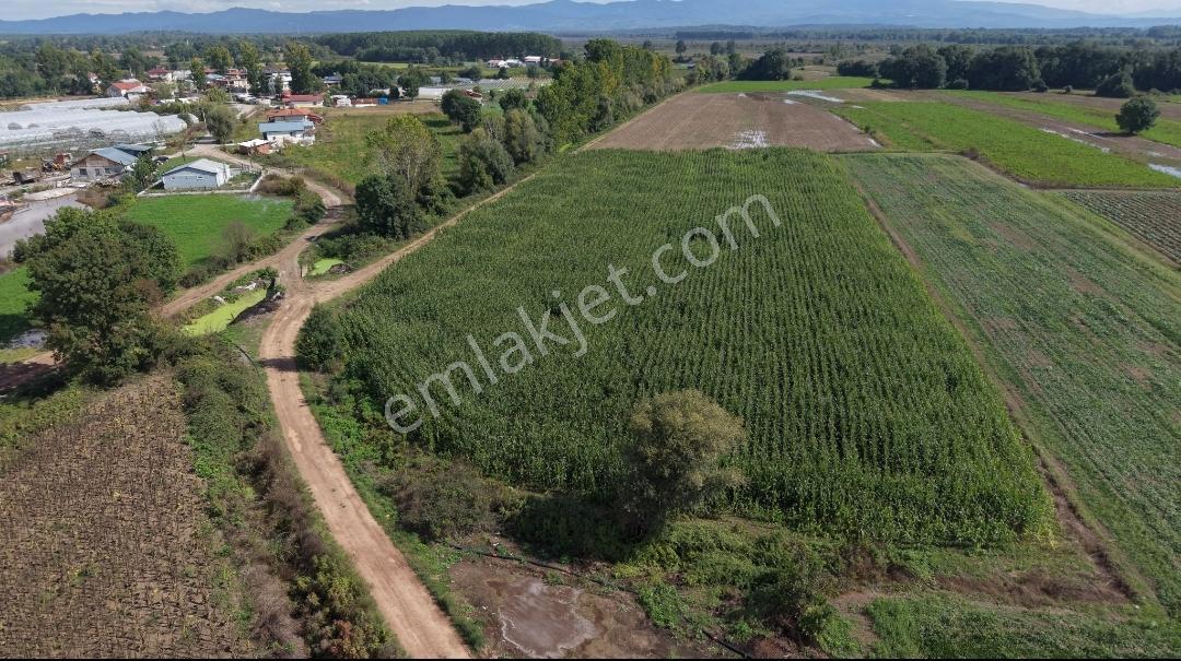 Adapazarı Hacılar Köyü'nde 8.300 M² Satılık Tarla (resmi Yollu) — fotoğraf 13