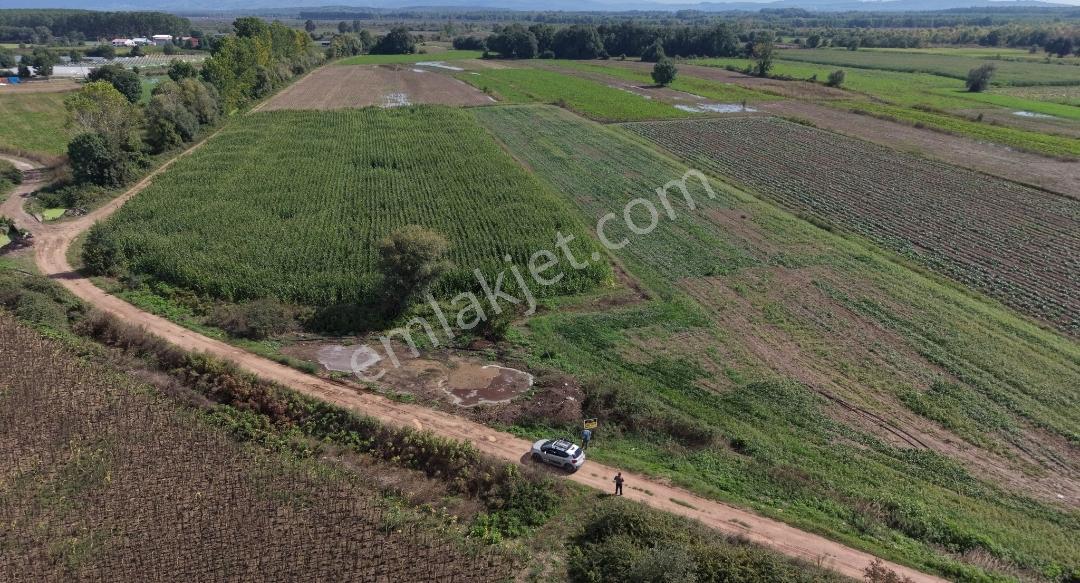 Adapazarı Hacılar Köyü'nde 8.300 M² Satılık Tarla (resmi Yollu) — fotoğraf 14