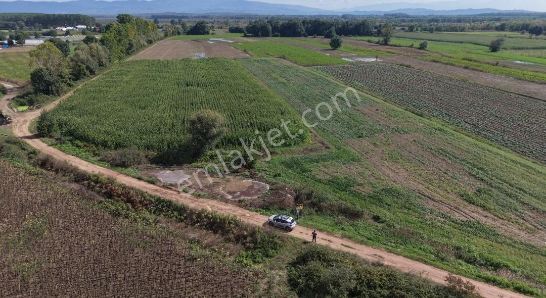 Adapazarı Hacılar Köyü'nde 8.300 M² Satılık Tarla (resmi Yollu) — fotoğraf 15