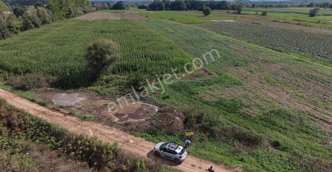 Adapazarı Hacılar Köyü'nde 8.300 M² Satılık Tarla (resmi Yollu) — fotoğraf 16