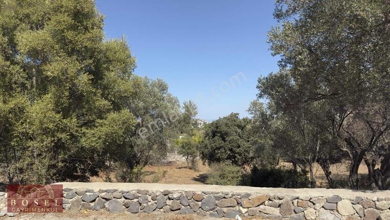Bodrum Yalıkavak Satılık 4400 M2 Arazi — fotoğraf 4