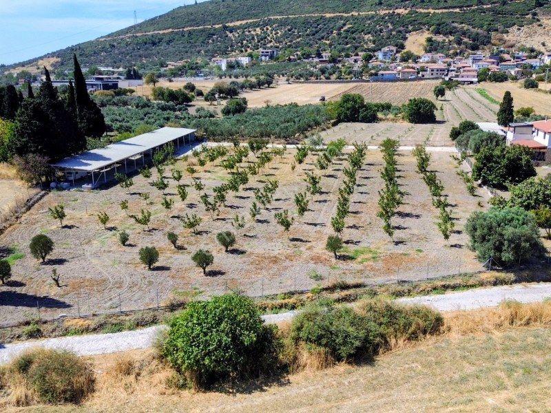 Bülent Ateşci'den Foça Ilıpınar Köyünde 10315 M2 Arazi İçinde Ev — fotoğraf 2