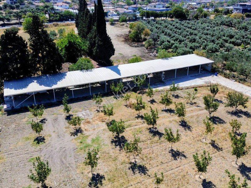 Bülent Ateşci'den Foça Ilıpınar Köyünde 10315 M2 Arazi İçinde Ev — fotoğraf 9