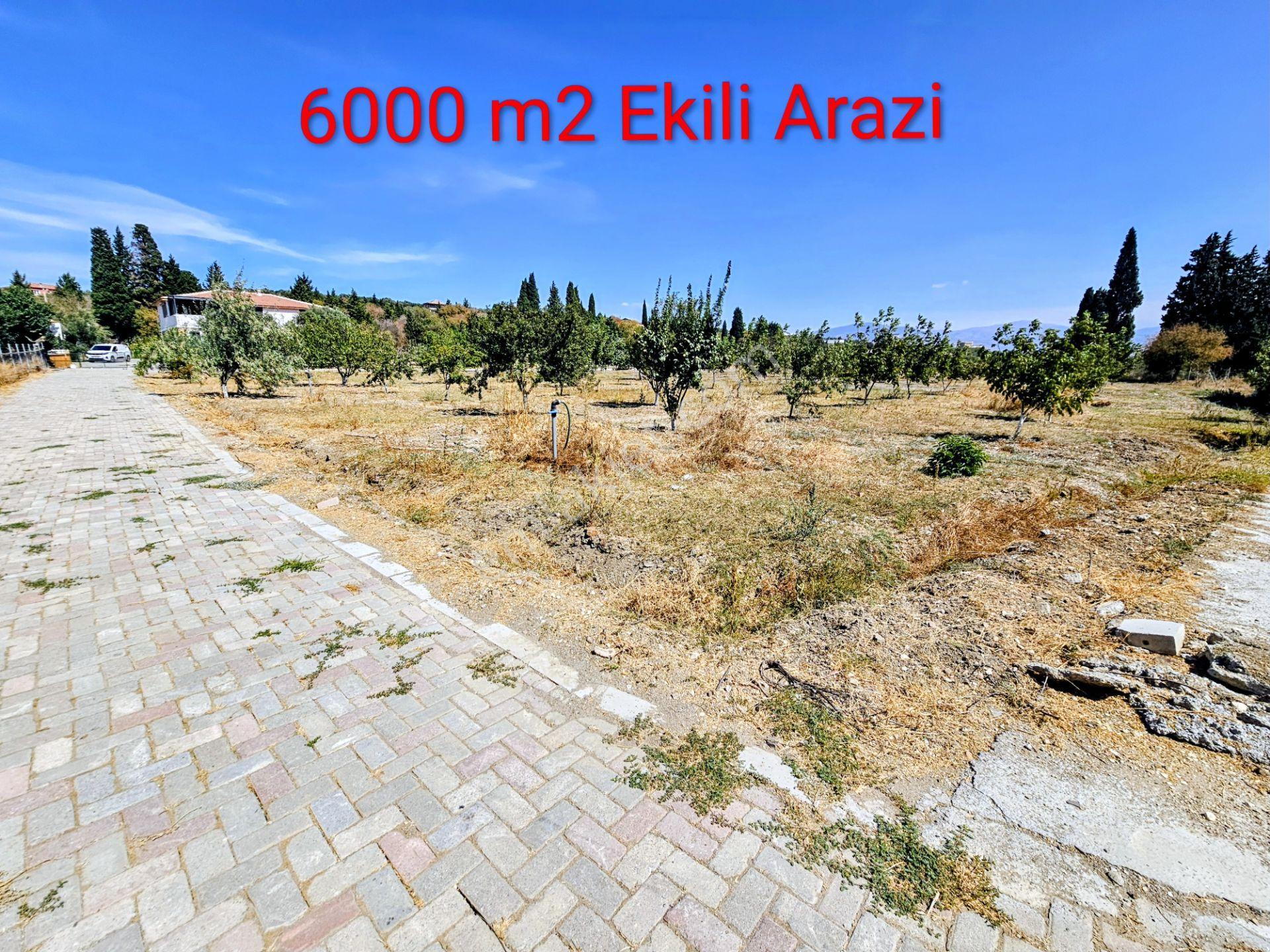 Bülent Ateşci'den Foça Ilıpınar Köyünde 10315 M2 Arazi İçinde Ev — fotoğraf 10