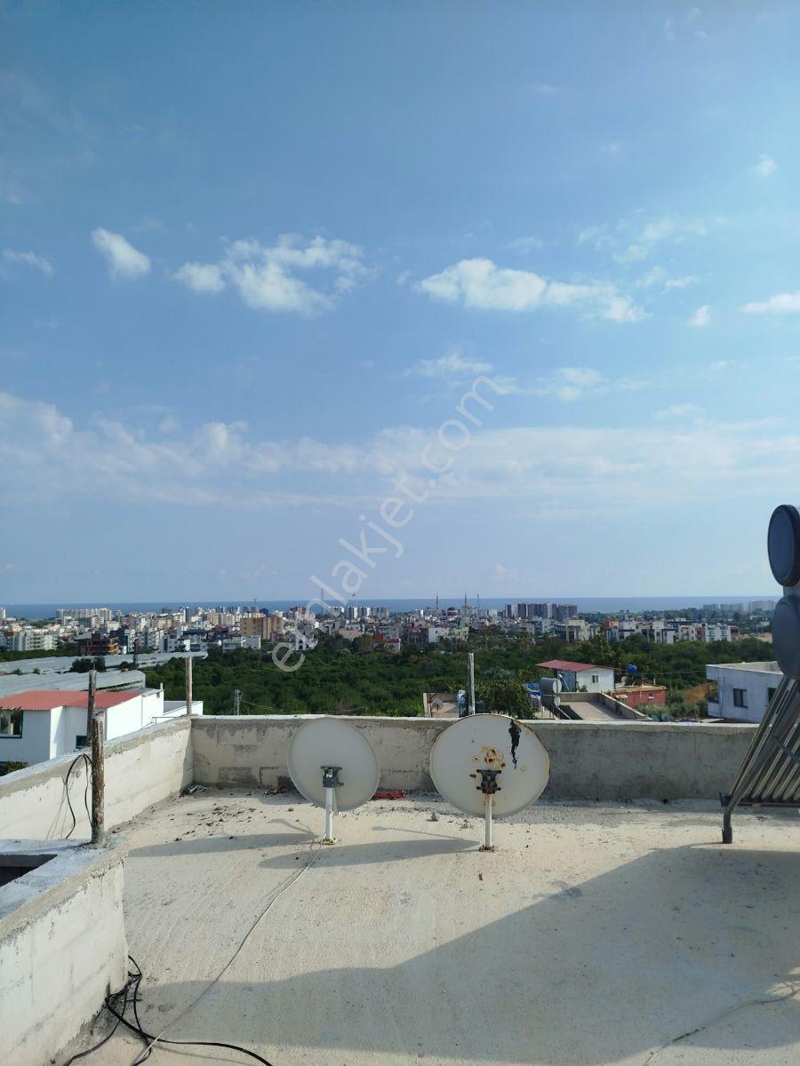 Fırsat Kargıpınarı Merkezde Komple Bina 645 M2 Arsa İçerisinde — fotoğraf 15