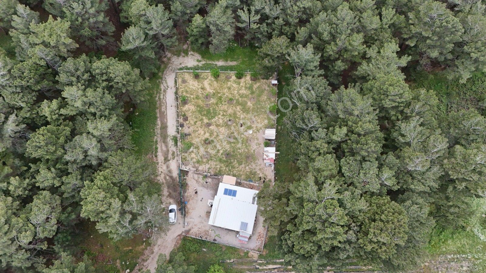 Havran Kalabak Mevkinde 1.123 M2 İçinde Evi Olan Hobi Bahçesi — fotoğraf 6