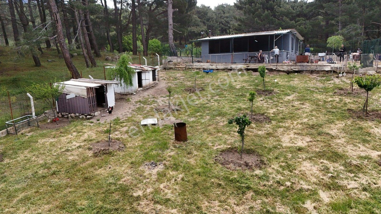 Havran Kalabak Mevkinde 1.123 M2 İçinde Evi Olan Hobi Bahçesi — fotoğraf 8