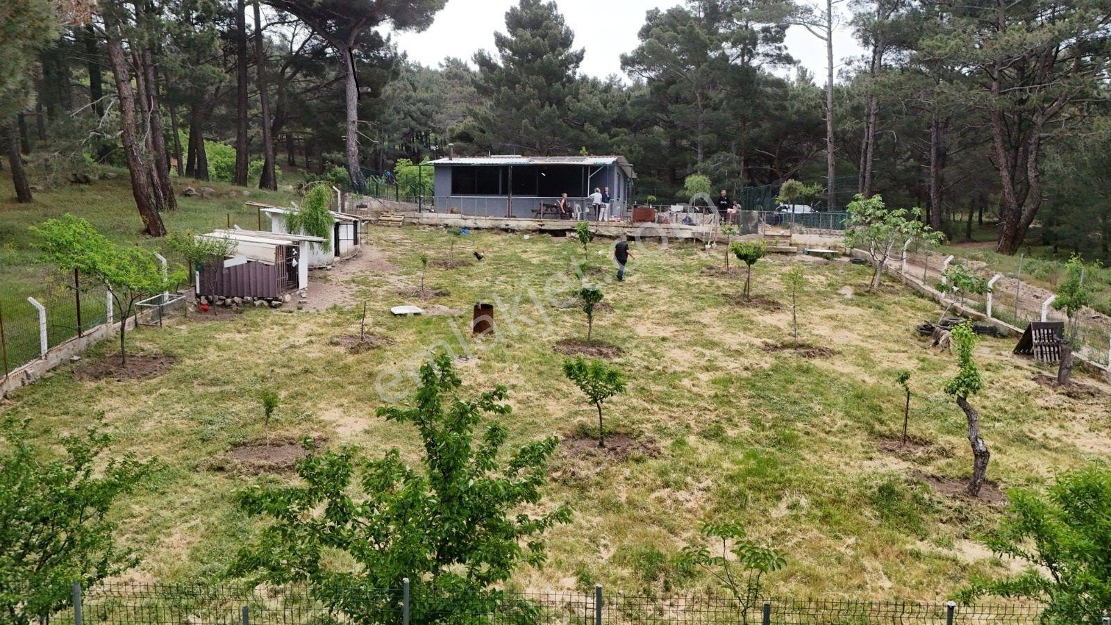 Havran Kalabak Mevkinde 1.123 M2 İçinde Evi Olan Hobi Bahçesi — fotoğraf 9