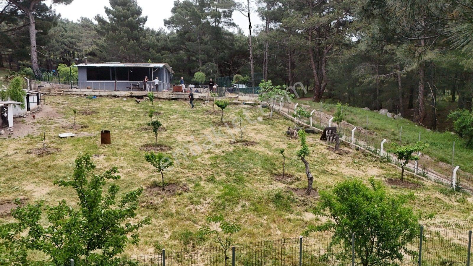 Havran Kalabak Mevkinde 1.123 M2 İçinde Evi Olan Hobi Bahçesi — fotoğraf 10