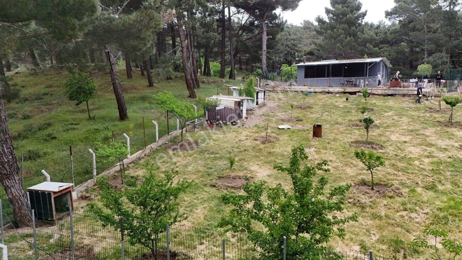 Havran Kalabak Mevkinde 1.123 M2 İçinde Evi Olan Hobi Bahçesi — fotoğraf 11