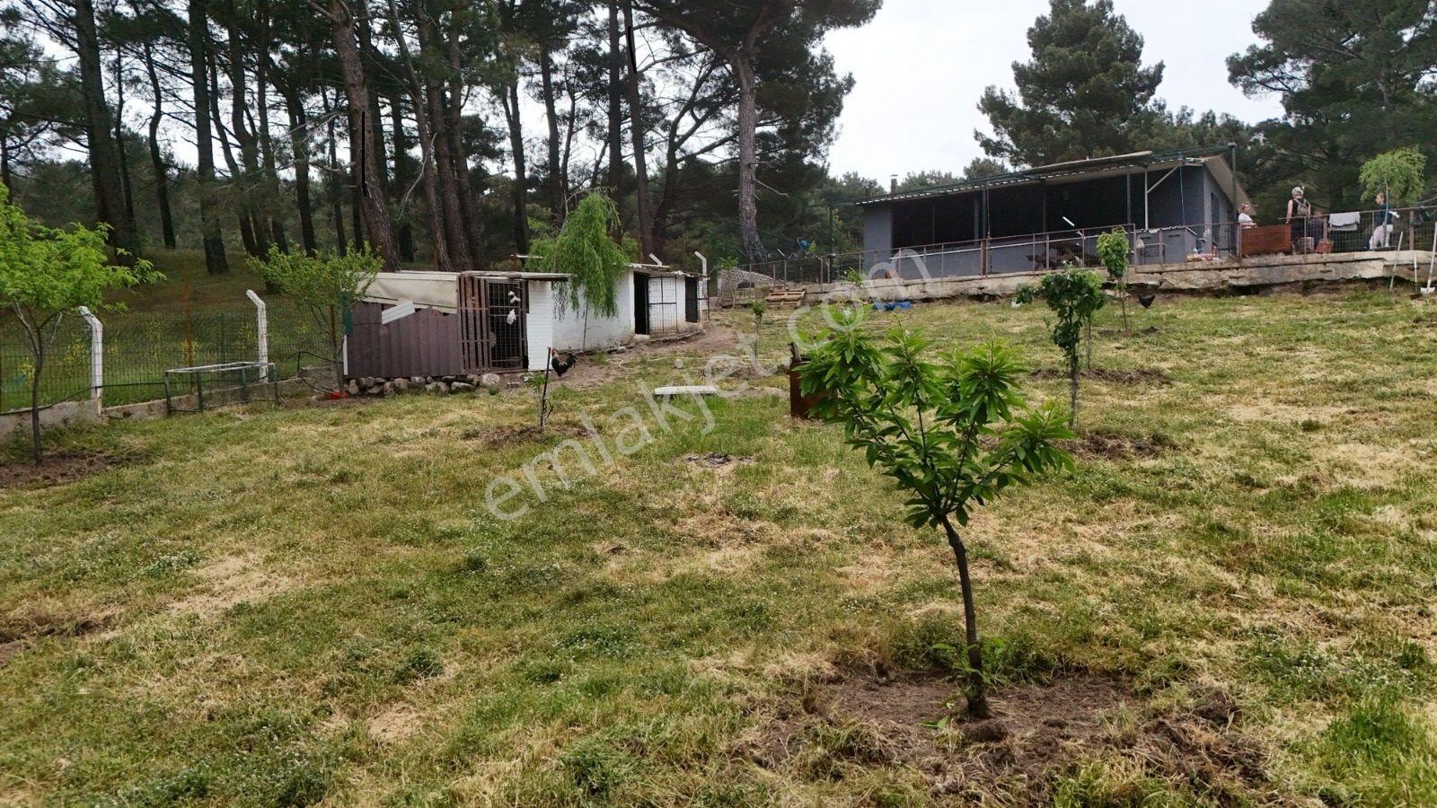 Havran Kalabak Mevkinde 1.123 M2 İçinde Evi Olan Hobi Bahçesi — fotoğraf 12