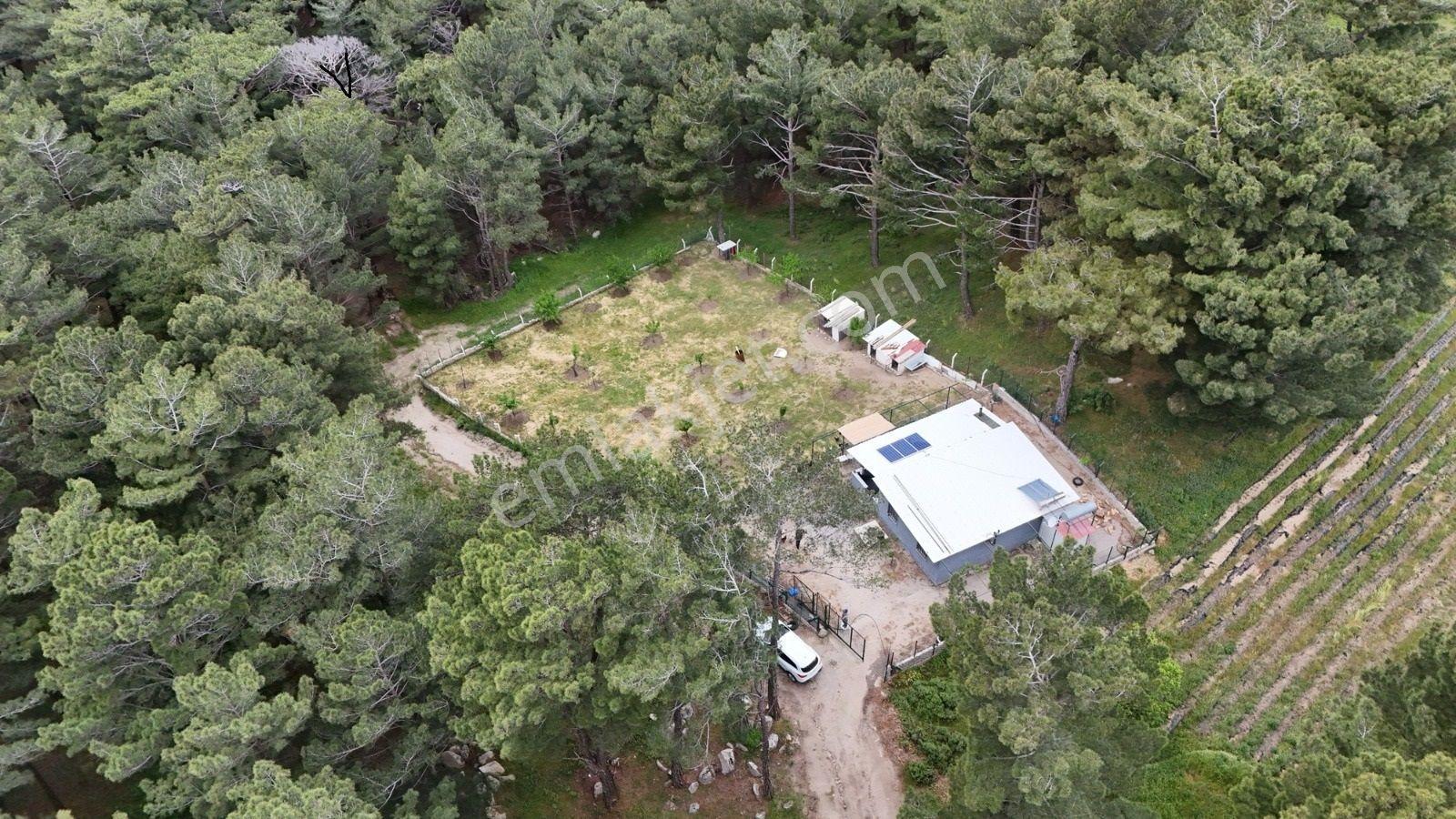Havran Kalabak Mevkinde 1.123 M2 İçinde Evi Olan Hobi Bahçesi — fotoğraf 13