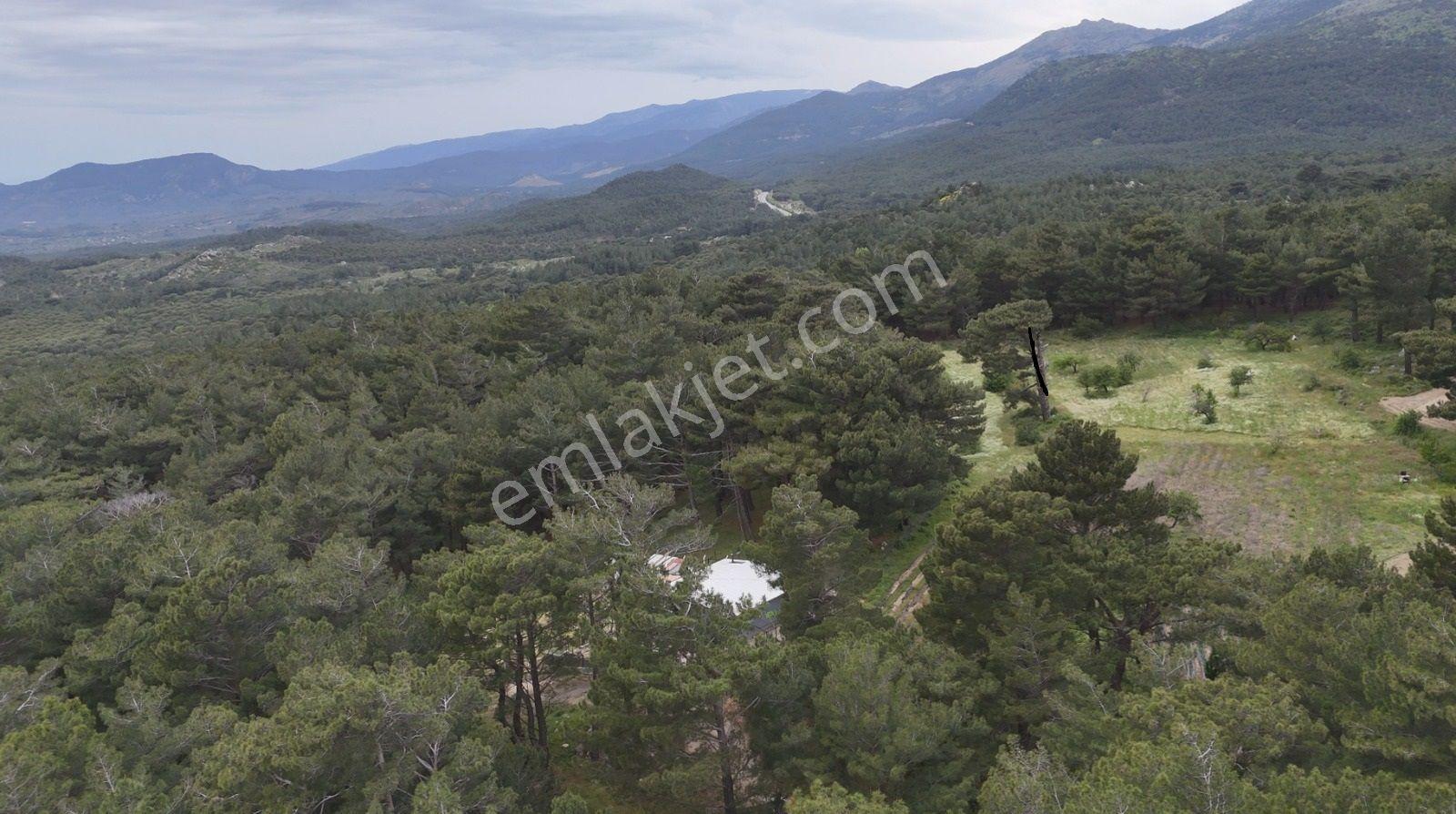 Havran Kalabak Mevkinde 1.123 M2 İçinde Evi Olan Hobi Bahçesi — fotoğraf 14