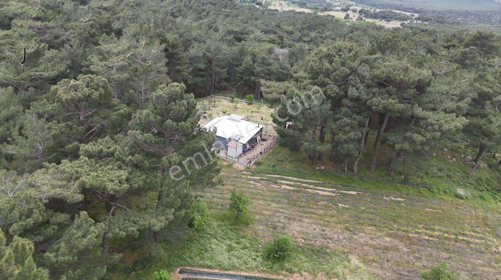 Havran Kalabak Mevkinde 1.123 M2 İçinde Evi Olan Hobi Bahçesi — fotoğraf 15