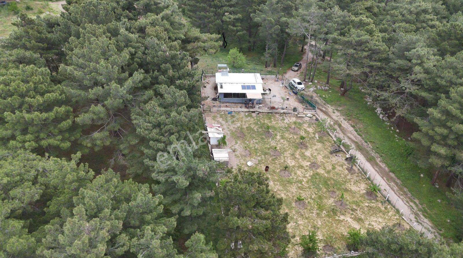 Havran Kalabak Mevkinde 1.123 M2 İçinde Evi Olan Hobi Bahçesi — fotoğraf 16