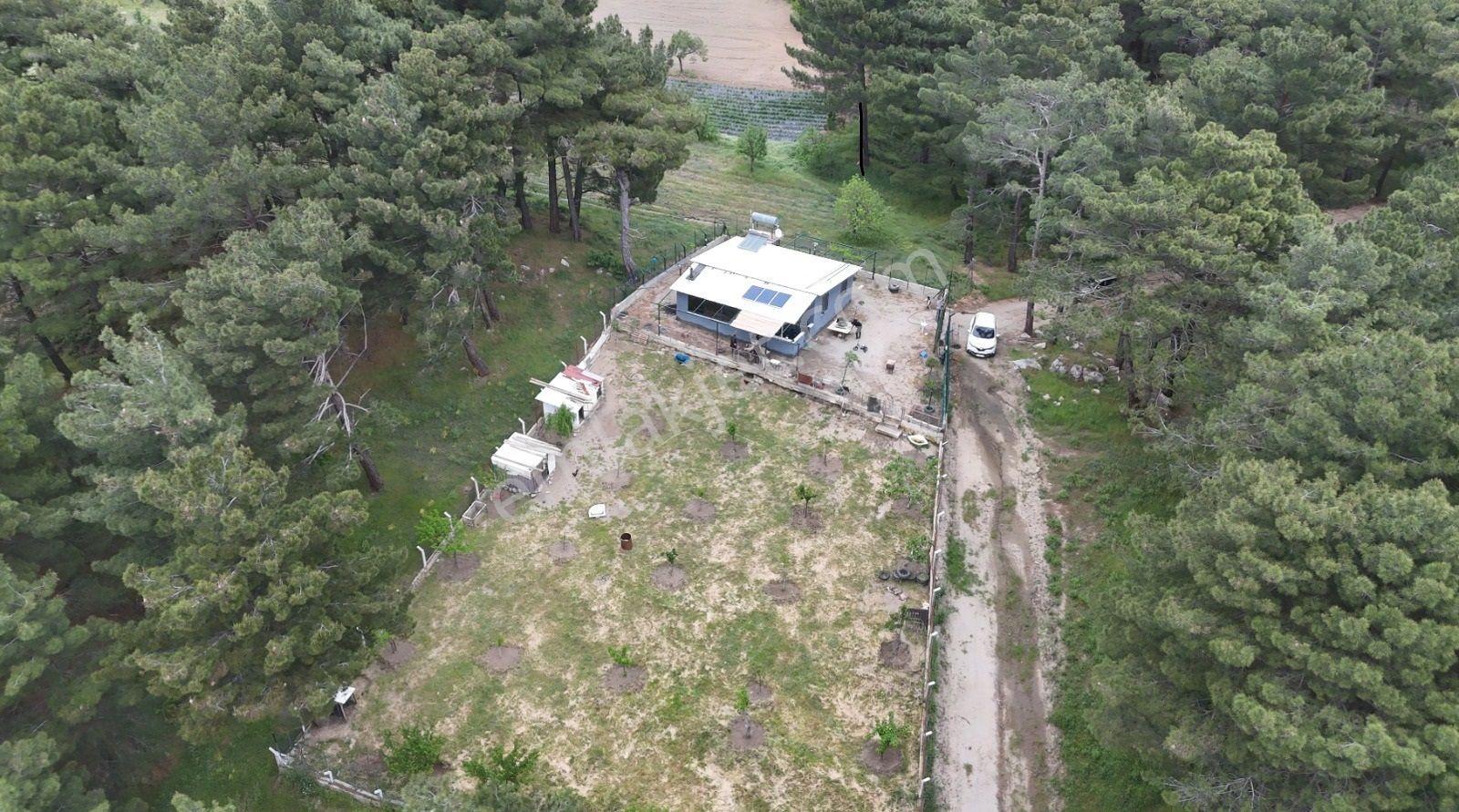 Havran Kalabak Mevkinde 1.123 M2 İçinde Evi Olan Hobi Bahçesi — fotoğraf 17