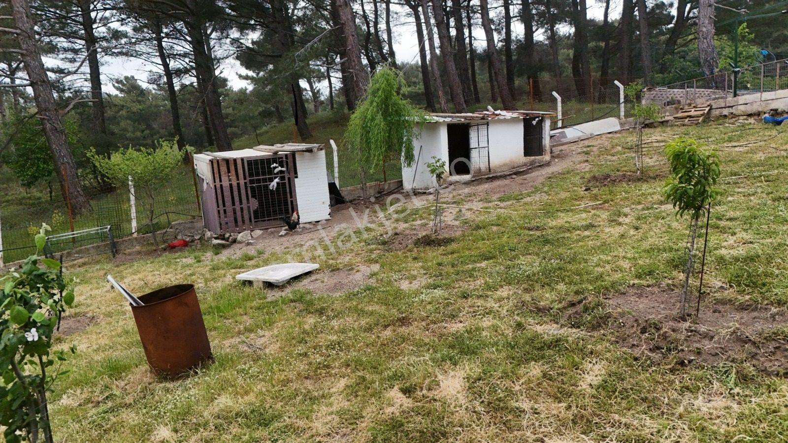 Havran Kalabak Mevkinde 1.123 M2 İçinde Evi Olan Hobi Bahçesi — fotoğraf 19