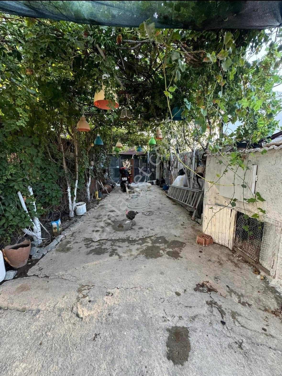 Balcity-burhaniye Kızıklı 2 Katlı Bağımsız 120 M2 Daireler — fotoğraf 8