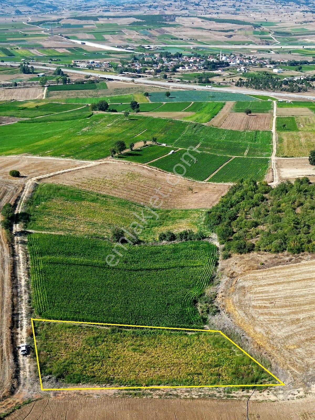 Müftüoğlu'ndan Çamönü Mah. Satılık Tarla — fotoğraf 3