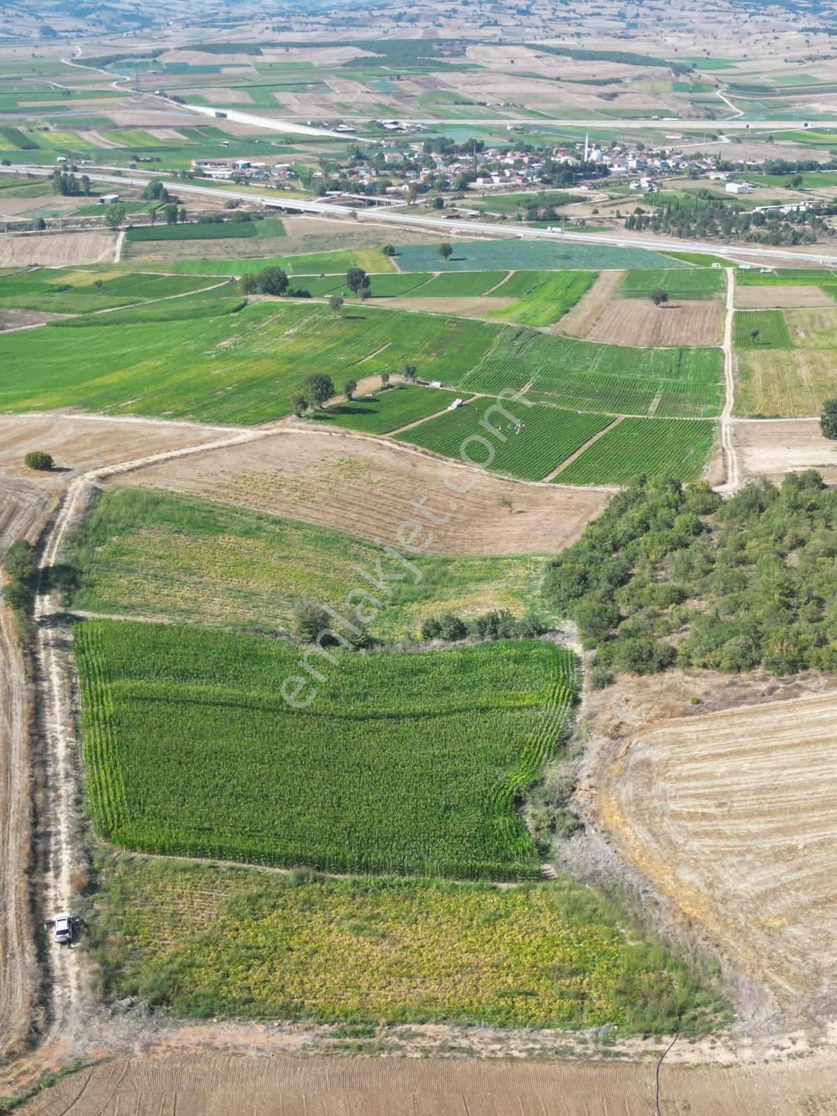 Müftüoğlu'ndan Çamönü Mah. Satılık Tarla — fotoğraf 4