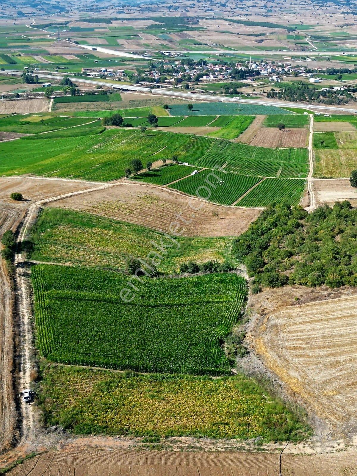 Müftüoğlu'ndan Çamönü Mah. Satılık Tarla — fotoğraf 13