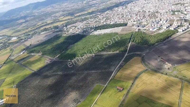 Mayadan Gönen Reşadiye 2.825m2 Satılık Arazi — fotoğraf 5