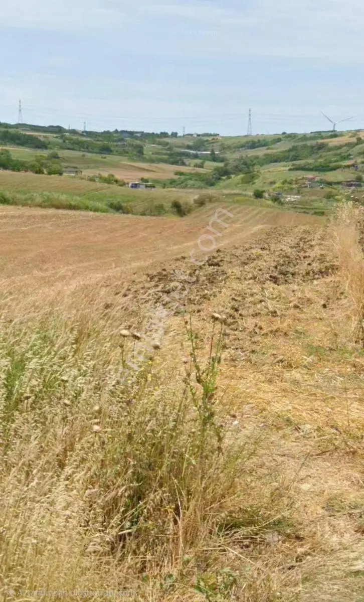 895 Metrekare Acil Satılık