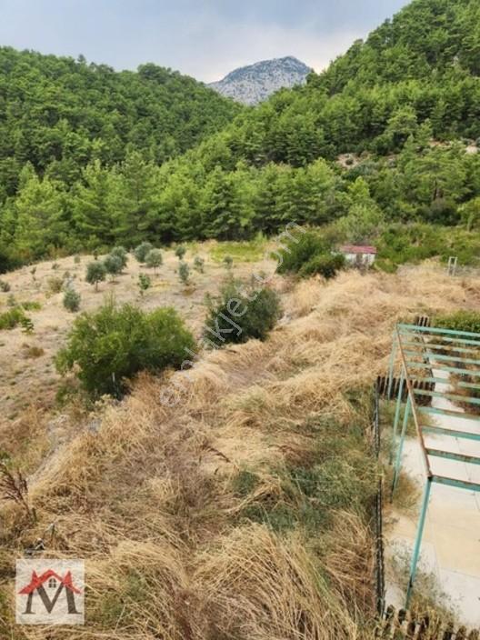 Kızılsekide 6350m² Arazi Üzerinde 250m² Dublex Villa — fotoğraf 7