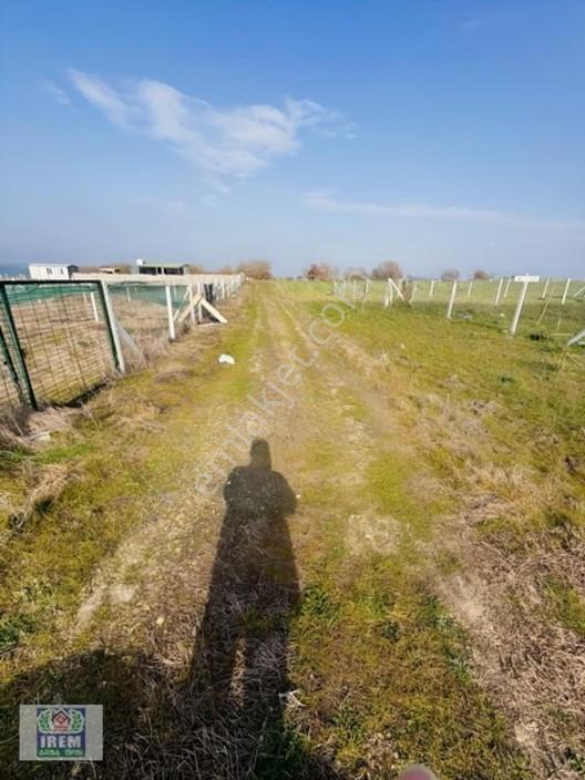 Silivri Balabanda Etrafı Çevrili Arsa — fotoğraf 10