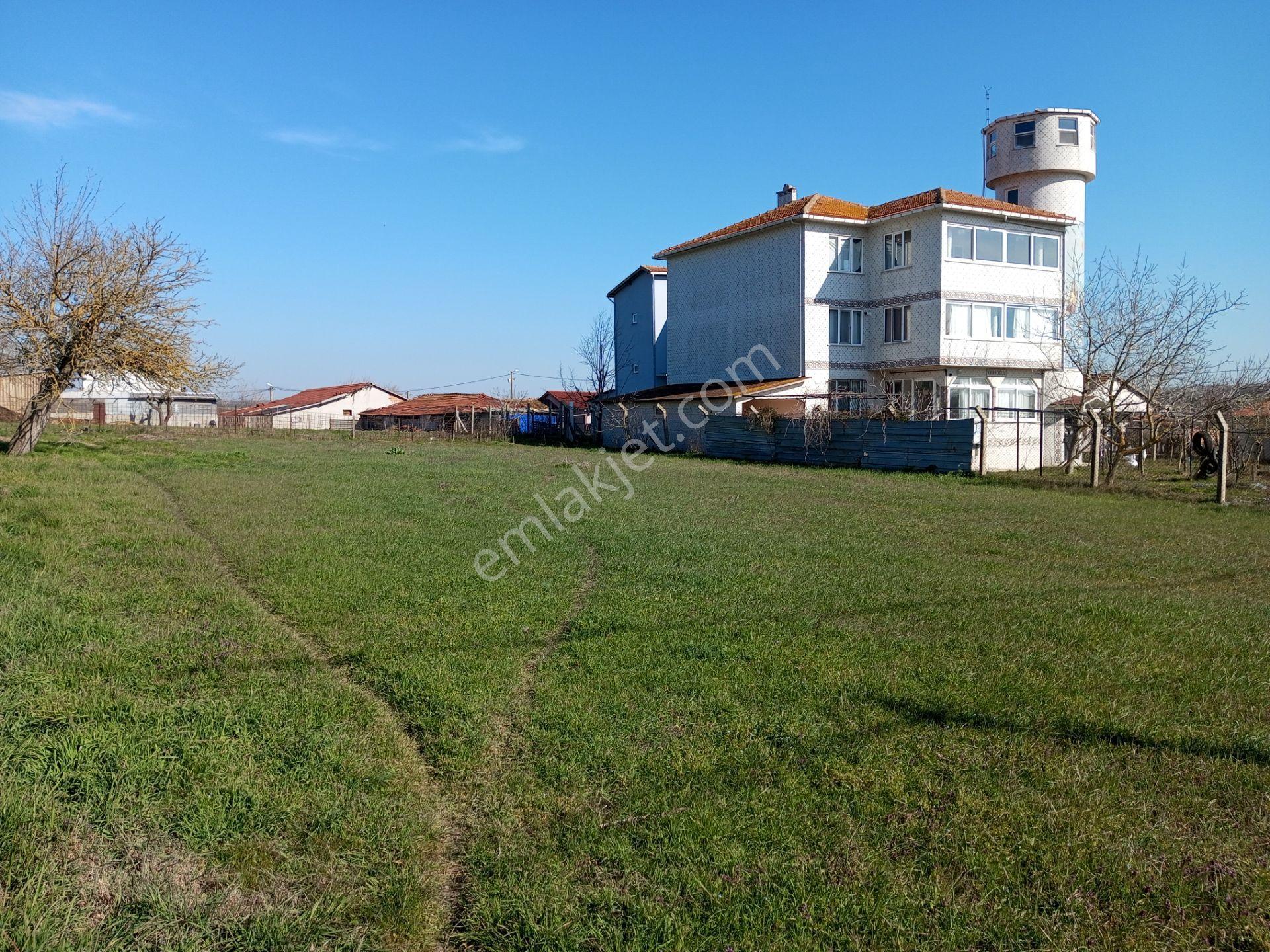 Ege Gayrimenkul Den Beycilerde 1004 M2 Arsa — fotoğraf 2