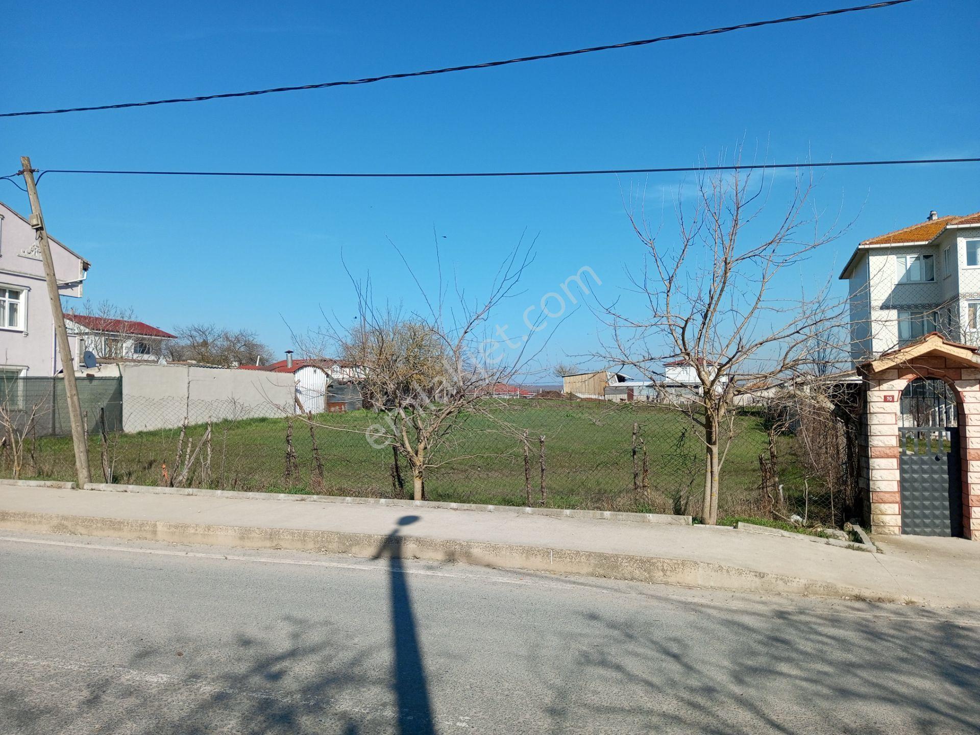 Ege Gayrimenkul Den Beycilerde 1004 M2 Arsa — fotoğraf 4