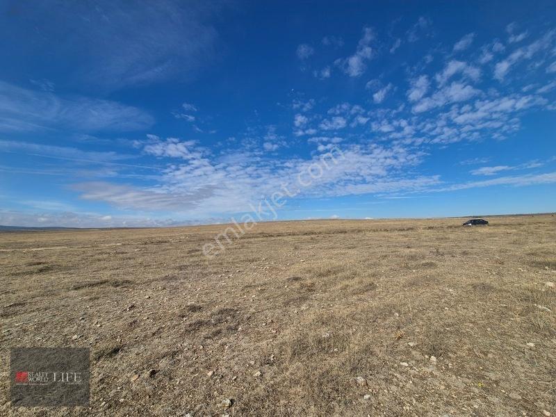 Rw Lıfe//eskişehir Odunpazarı Kıravdanda Satılık 3.023 M2 Tarla — fotoğraf 10