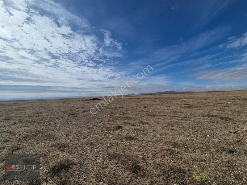 Rw Lıfe//eskişehir Odunpazarı Kıravdanda Satılık 3.023 M2 Tarla — fotoğraf 22