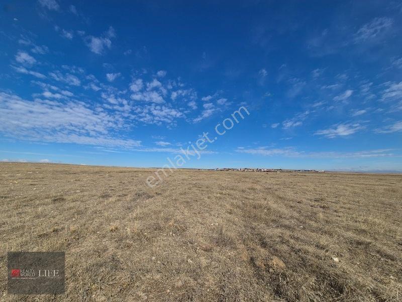 Rw Lıfe//eskişehir Odunpazarı Kıravdanda Satılık 3.023 M2 Tarla — fotoğraf 23