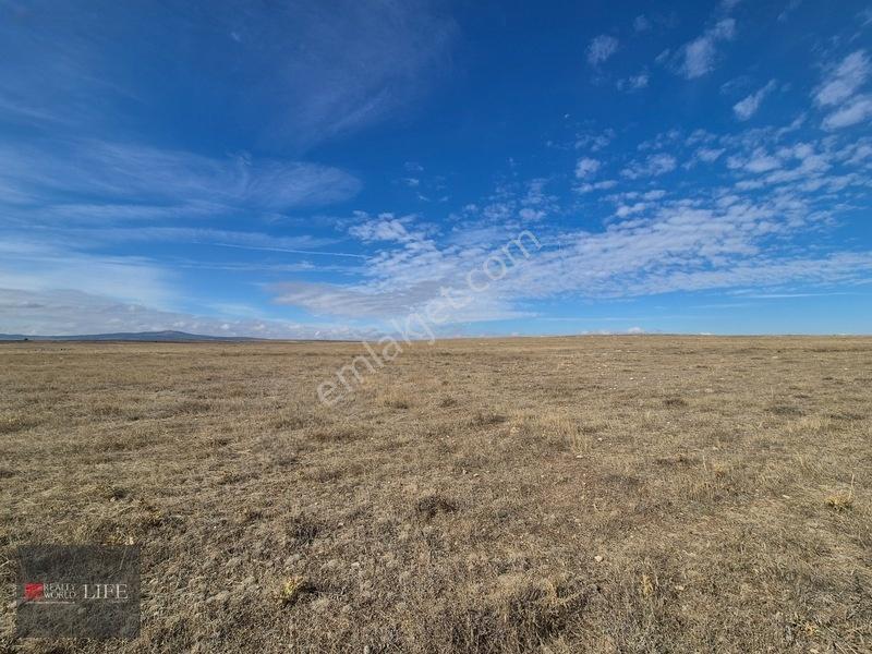 Rw Lıfe//eskişehir Odunpazarı Kıravdanda Satılık 3.023 M2 Tarla — fotoğraf 25