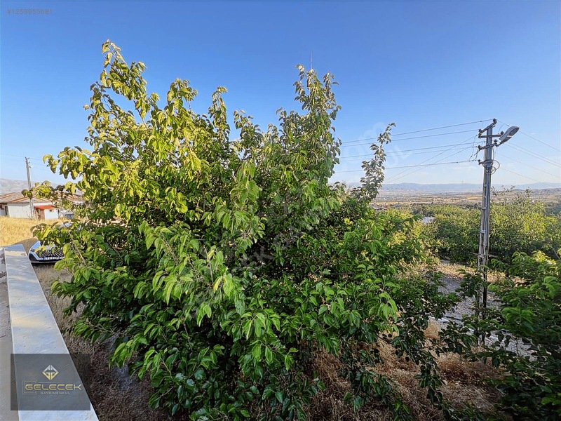 Yurtbaşı'nda Evi, Havuzu Yetişmiş Bahçe&bağı Olan Harika Fırsat — fotoğraf 15