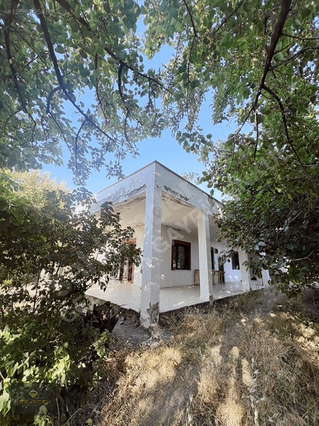 Yurtbaşı'nda Evi, Havuzu Yetişmiş Bahçe&bağı Olan Harika Fırsat — fotoğraf 19