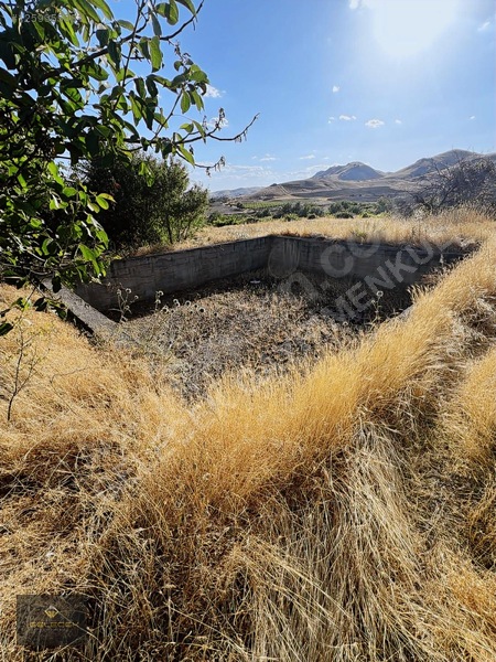 Yurtbaşı'nda Evi, Havuzu Yetişmiş Bahçe&bağı Olan Harika Fırsat — fotoğraf 29