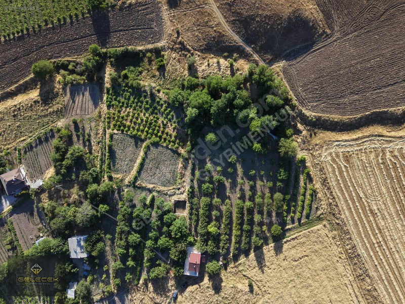 Yurtbaşı'nda Evi, Havuzu Yetişmiş Bahçe&bağı Olan Harika Fırsat — fotoğraf 31