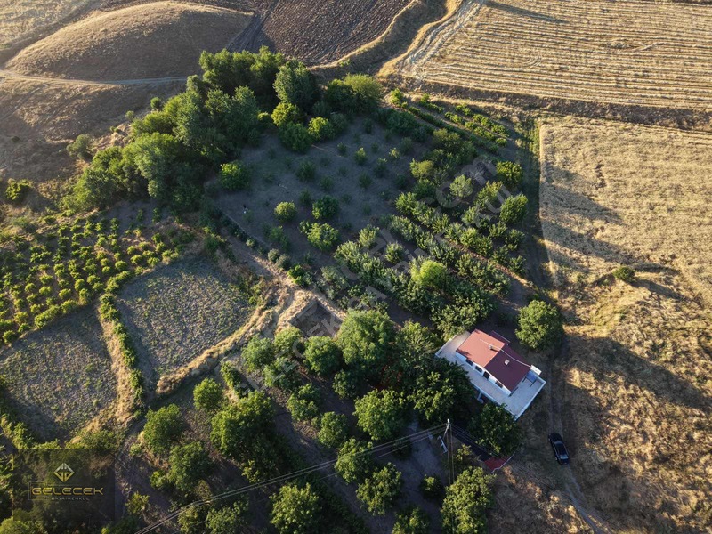 Yurtbaşı'nda Evi, Havuzu Yetişmiş Bahçe&bağı Olan Harika Fırsat — fotoğraf 32